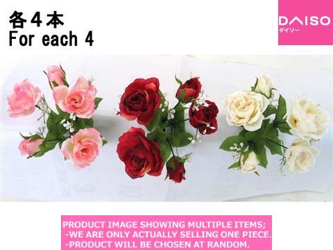 Rose bushes / BERRY ROSE【ベリーローズ】| Daiso Canada co., ltd.