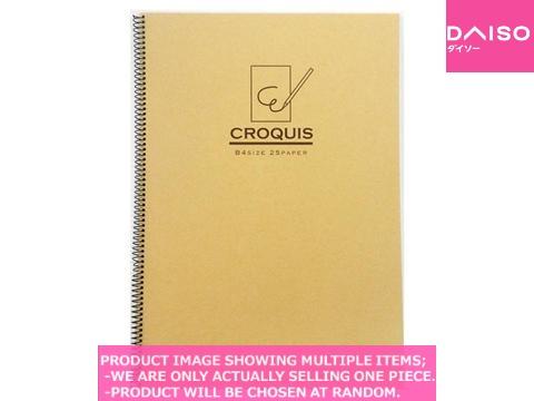 Sketchbooks / b size spiral bound sketchbook【 リング